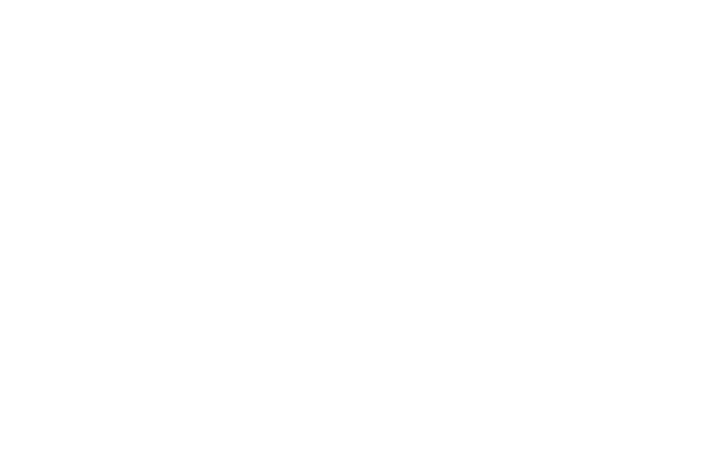 Sveston Watches